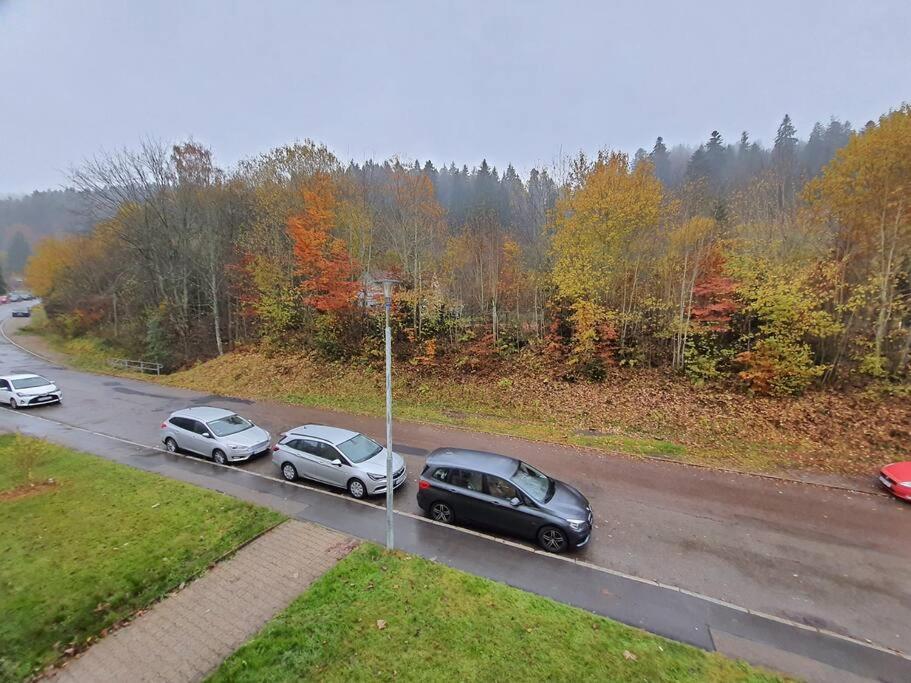 Two-Bedroom Apartment Near Triberg Waterfall Triberg im Schwarzwald Exterior photo